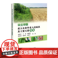 华北平原重大农业外来入侵病虫及主要天敌图鉴 9787511669933 中国农业科学技术出版社