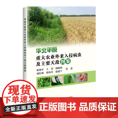 华北平原重大农业外来入侵病虫及主要天敌图鉴 9787511669933 中国农业科学技术出版社