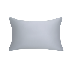 LA MAISON DE SASHA 19姆米双面真丝枕套 100%桑蚕丝枕套纯色经典简约丝滑枕芯内胆套