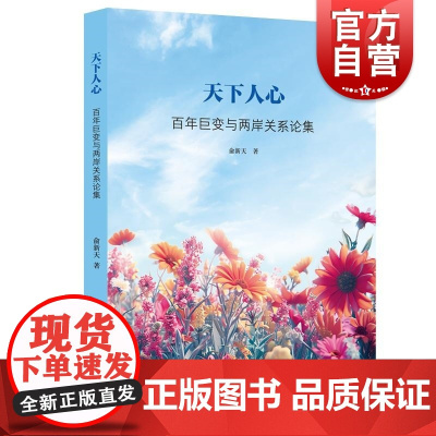 天下人心 百年巨变与两岸关系论集俞新天著上海人民出版社台湾问题海峡两岸两岸关系百年巨变俞新天权力转移