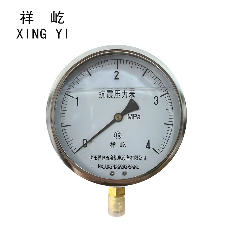祥屹+耐震压力表检测定制型+YTN150+块