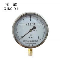 祥屹+耐震压力表检测定制型+YTN150+块