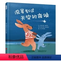 流星划过天空的夜晚 [正版]启发童书馆 流星划过天空的夜晚 3-6岁儿童成长绘本 精装图画故事书经验成长童书儿童社交友情