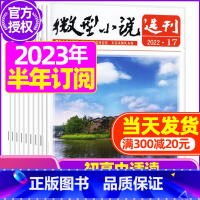 E[半年订阅]2023年7-12月 [正版]微型小说选刊杂志2023年/2024年1-12月全年/半年订阅/2022年打