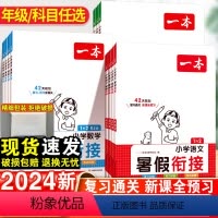 语文+数学+英语·人教版-3本套 三升四 [正版]一本暑假衔接一年级二年级三四五年六年级下册人教版一升二小学语文阅读理解
