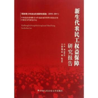 音像新生代农民工权益保障研究报告郭开元主编