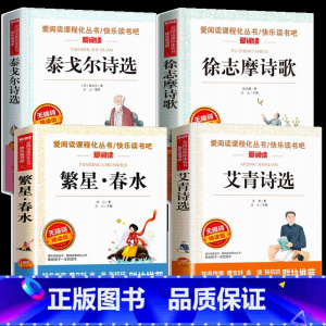 全套4册 小学生现代诗集 [正版]小学生现代诗集大全四年级下册中国现代诗歌精选儿童繁星春水冰心泰戈尔徐志摩艾青诗选四五年