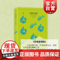 巴黎圣母院/译文40 (法)雨果 世界名著文学 巴黎圣母院 人性的善与恶 外表的美与丑 法国文豪雨果之作 书 上海译文