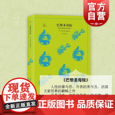 巴黎圣母院/译文40 (法)雨果 世界名著文学 巴黎圣母院 人性的善与恶 外表的美与丑 法国文豪雨果之作 书 上海译文