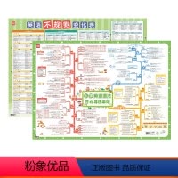 [小学套装]英语语法+不规则变化 初中通用 [正版]易蓓小学初中英语语法专项训练英语时态知识点大全动词过去式短语名词复数