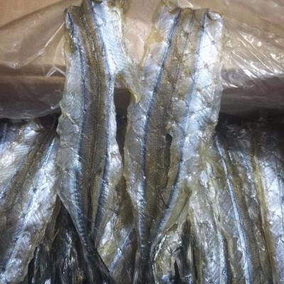 烧烤专用马步鱼干500g棒棒鱼针鱼片海鲜干货饭店用轻残13-15厘米约36-40条