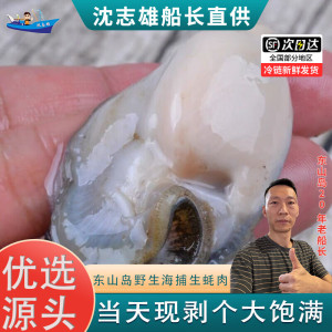 沈志雄东山岛澳角村海鲜生蚝纯肉鲜甜当天现剥生蚝肉海蛎肉牡蛎肉4斤小生蚝肉