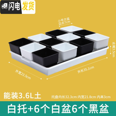 三维工匠美莳多肉控根花盆带托盘大号透气肉肉植物花盆创意多肉塑料花盆器 白托+黑白盆各6个(口径7cm) 中等花盆容器