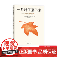 一片叶子落下来硬壳精装图画书适合3-4-5-岁以上幼儿启蒙早教认知系列睡前亲子阅读书籍爱心树绘本关于生命的故事正版童书