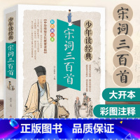 宋词三百首 [正版]高启强同款孙子兵法与三十六计 文言文有译文文白对照 彩色插图 疑难生僻字注音注释青少年版学生阅读成人