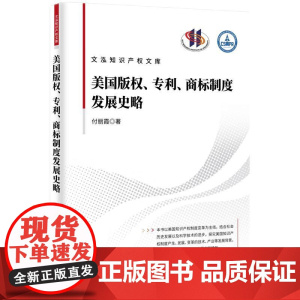 美国版权 专利 商标制度发展史略 付丽霞 著 知识产权出版社 9787513096607