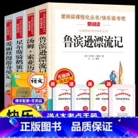 [全4册]六年级下册快乐读书吧 [正版]鲁滨逊漂流记六年级课外阅读书籍下册快乐读书吧爱丽丝梦游仙境漫游奇境记尼尔斯骑鹅旅