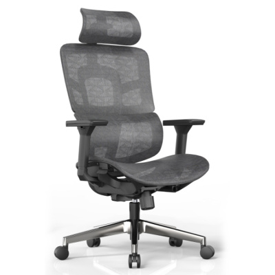 初嘉(CJ) BGY-30人体工学椅电脑椅撑腰办公椅家用老板椅电竞椅靠背转椅座椅