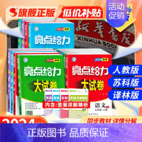 语文-人教版 七年级下 [正版]2024秋新版亮点给力大试卷初中七上数学八上物理九上英语初一七八九年级下二三语文化学同步