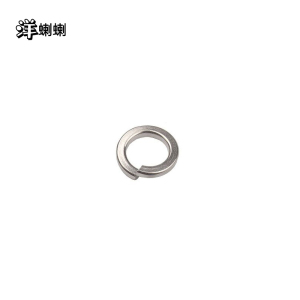洋蝲蝲 标准型弹簧垫圈 M10 单位:个