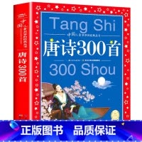 唐诗300首 [正版]海豚童书 小王子书 注音版中文儿童绘本经典世界名着1-3年级小学生读物一年级二年级课外阅读带拼音的