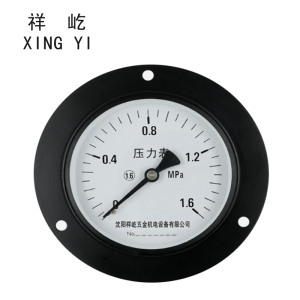 祥屹 风表压力表轴向带边 Y100ZT 块