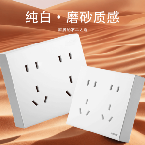 罗格朗 十孔插座 明装 MP/426/10USL2 个