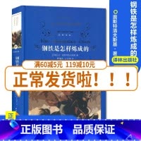 [正版]经典译林钢铁是怎样炼成的 初中小学生青少年世界经典课外名著书籍外国文学小说励志经典 精装版作品诗集 青世界文学名