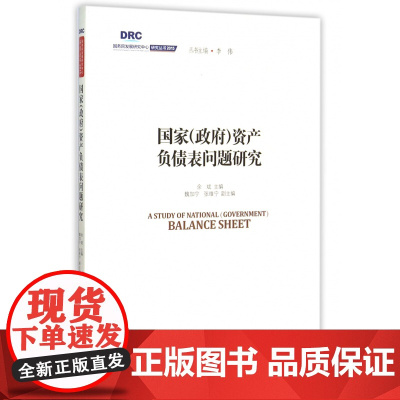 国家<政府>资产负债表问题研究/国务院发展研究中心研究丛