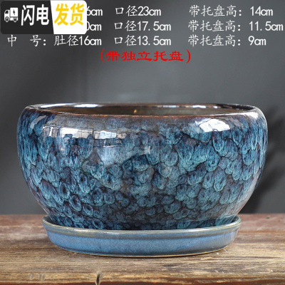 三维工匠加厚花盆陶瓷大号特大号带托盘绿萝盆景家用兰花多肉花盆 S1CZ-矮款孔雀L单个 中等花盆容器