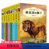 中外动物小说精品(升级版)第一辑(全8册) [正版]沈石溪中外动物小说精品全套第一辑小学生课外书籍悲情豺母被放逐的狮王复