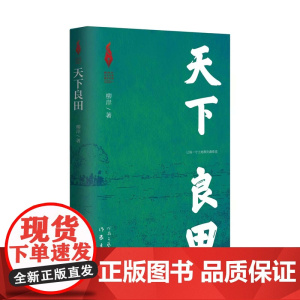 天下良田(新时代山乡巨变创作计划)一本让人读懂高标准农田建设的小说
