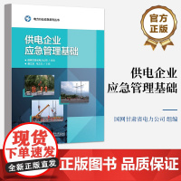 店 供电企业应急管理基础 以实际操作技能为主线 基于供电企业应急能力建设要求 电力行业应急系列丛书