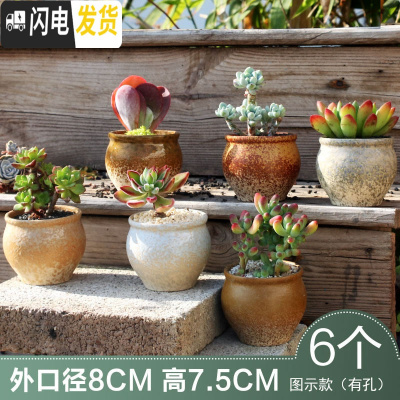 三维工匠多肉花盆创意个性复古粗陶小老桩盆大口径肉植物陶瓷 款1 中小花盆容器