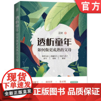正版 透析童年 如何做更成熟的父母 王树 完整人格状态 幸福生活 陪伴孩子 支持成长 青少年 儿童教育