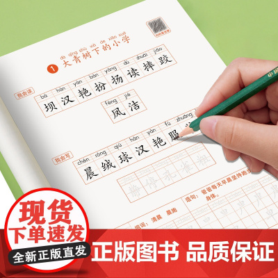 2025 三年级上册字帖 练字帖小学语文人教版课本教材同步字帖每日一练下册小学生专用3上学期寒假衔接带笔画笔顺练习册贴