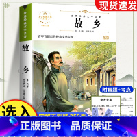 故乡 [正版]故乡 鲁迅原著 六年级课外阅读书籍老师 小学生3-4-6年级 鲁迅的故乡散文作品集书籍 6-9-12-15