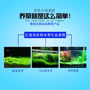 基肥 底肥 水基肥 鱼缸水床水根肥基肥沙鱼缸多效缓释基肥 1KG 默认尺寸