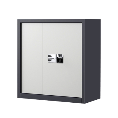 湘渭指纹电子保密柜钢制密码文件柜档案柜矮柜资料柜办公柜单节灰白国保指纹