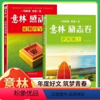 [全5册]意林感动卷+励志卷+初高中脑科应用宝典 [正版]全2册意林励志卷逆风而上感动卷花朝月夕 2022年意林年度精选