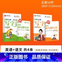 [更全面⭐ 划算]四下(语文+英语 ) [正版]字帖写字课一二三四五六年级上册下册 下上语文英语同步练字帖一年级字帖练字