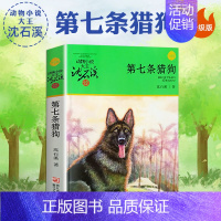 第七条猎狗 [正版]白天鹅红珊瑚沈石溪小学四年级五年级全集全套书浙江少年儿童出版社非注音版完整版动物小说大王品藏书系课外