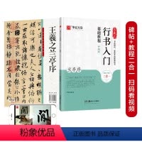 [正版]书籍毛笔字帖 王羲之行书入门基础教程:兰亭序(升级版) 成人初学者毛笔书法教程学生软笔行书练字帖