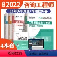 [正版]环球备考2023全国咨询工程师投资职业资格考试用书现代咨询方法实务分析与评价组织与管理政策与发展规划历年真题押