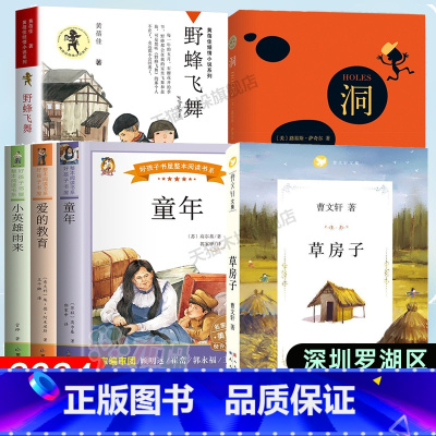 [6册]课外书全套 [正版]2024深圳市罗湖区六年级上学期暑假阅读书目草房子+野蜂飞舞+洞+童年适合10-11-12岁