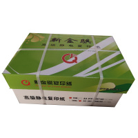 新金骐 绿新金骐高级静电复印纸70g复印纸白纸草稿纸 整箱 70g-A3-4包装(2000张)