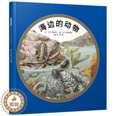 [醉染正版]正版 海边的动物 绘本精装硬壳浅井稔幼儿园图画故事书儿童早教启蒙认知书籍亲子共读学前教育睡前故事翻翻书启