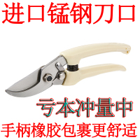 高档花剪修枝剪树枝剪刀园艺剪刀粗枝剪剪果树剪五金工具