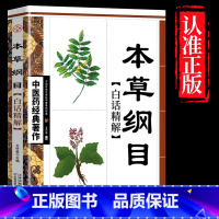 本草纲目 [正版]全4册中医书籍大全药王孙思邈+神医华佗+医祖扁鹊+医圣张仲景中医基础理论本草纲目黄帝内经中医四大名著中