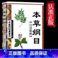 本草纲目 [正版]全4册中医书籍大全药王孙思邈+神医华佗+医祖扁鹊+医圣张仲景中医基础理论本草纲目黄帝内经中医四大名著中